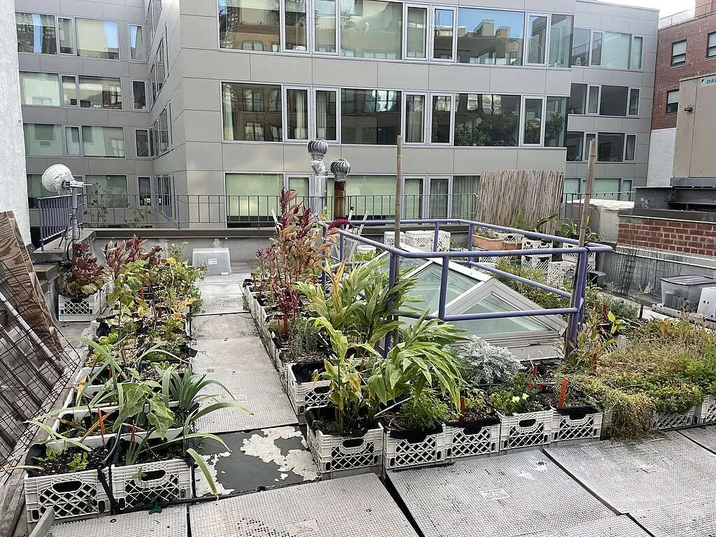 Understanding Rooftop Gardens