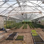 Urban Farming Benefits