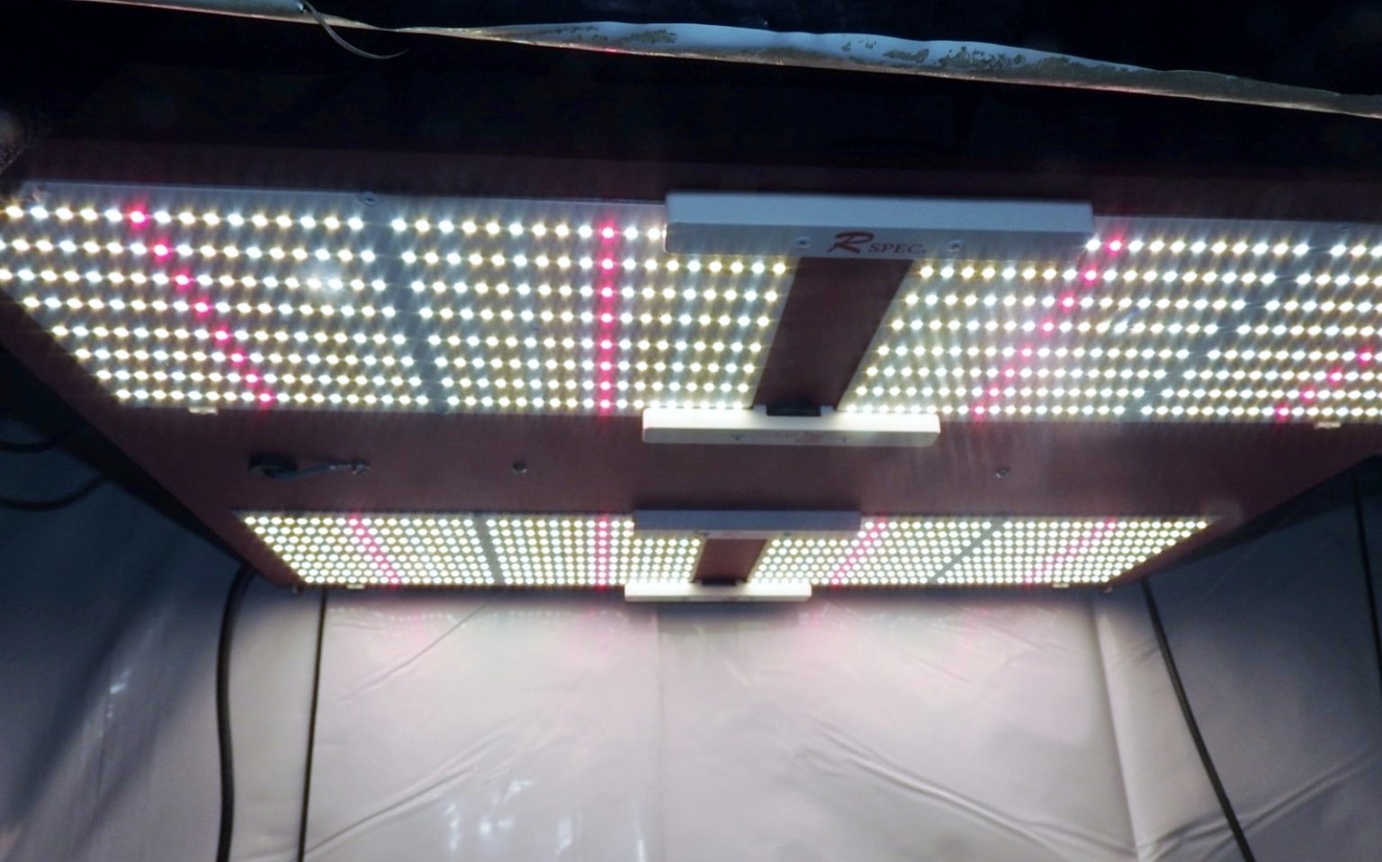 LED Hydroponic Lighting Easily Grow Plants with LED Lights Stay