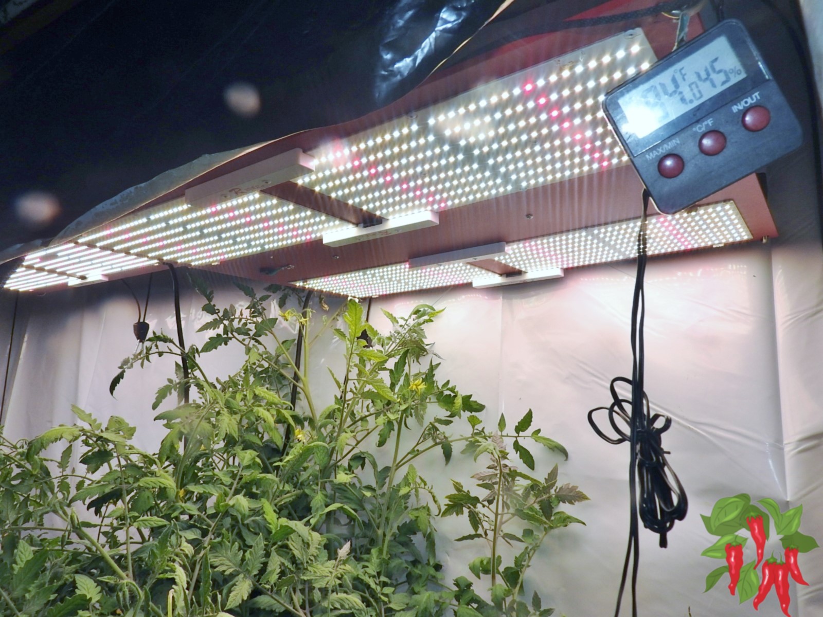 How Many Watts Per Square Foot for LED Lighting?
