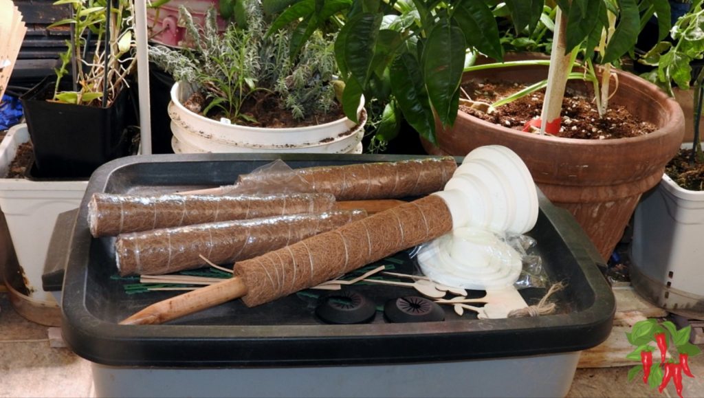 Monstera And Philodendron Self Watering Coco Coir Support Pole