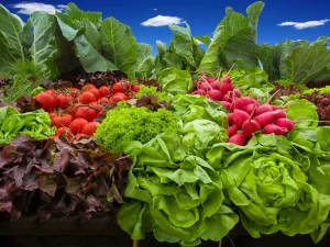 salad garden vegetables