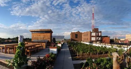 Designing Your Rooftop Garden