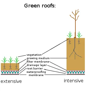 Pots vs. Open Soil in extensive and intensive roofs