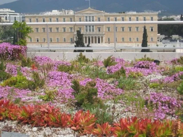 Why Are Pollinator-Friendly Rooftop Gardens Important?