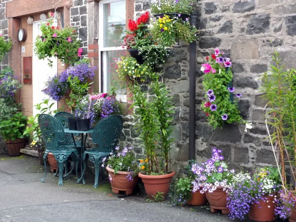 Small Balcony Gardening for Beginners