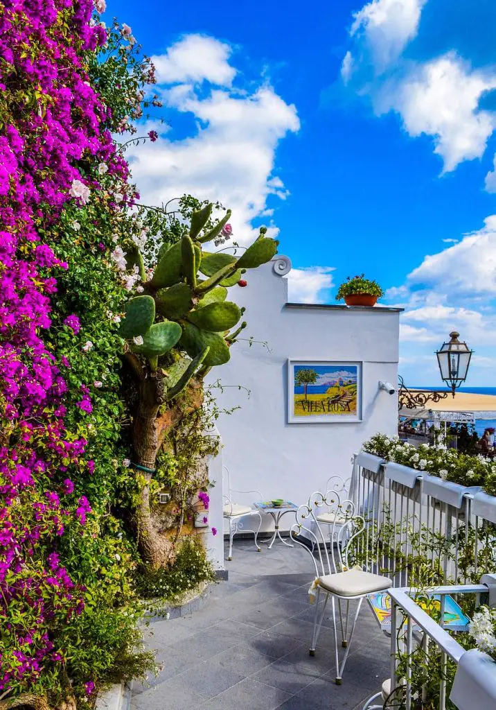 Design Ideas for Urban Balcony Gardens