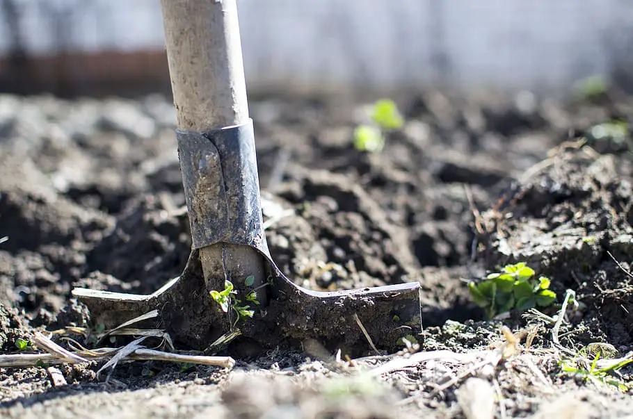 Tools and soil used for backyard urban gardening