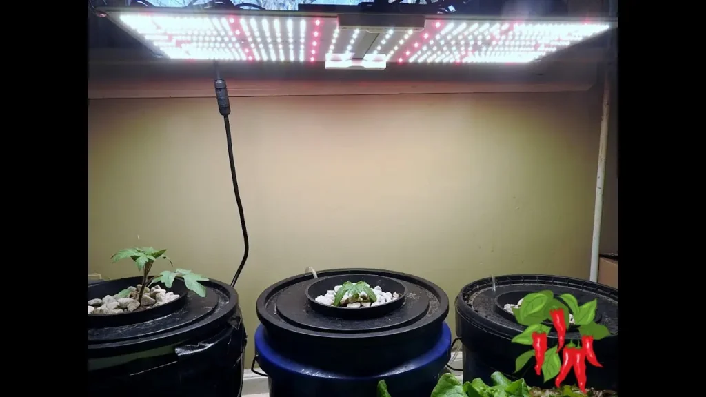 Spider Farmer SF2000 Over DWC Buckets