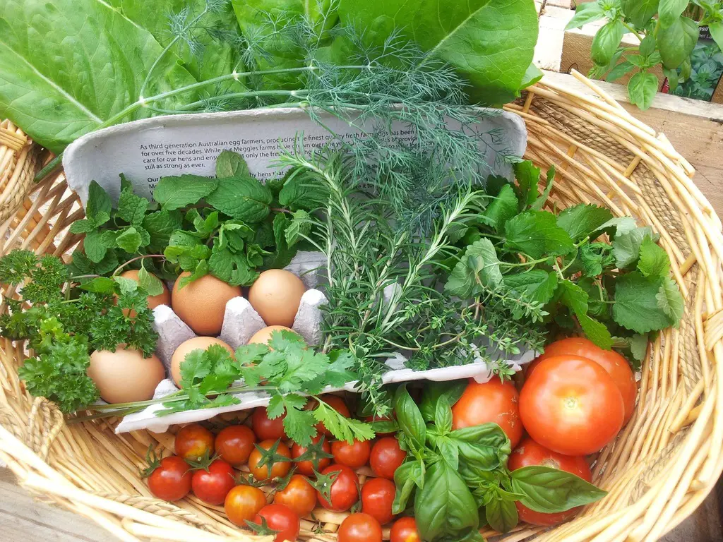 Benefits of Sustainable Food Gardens 